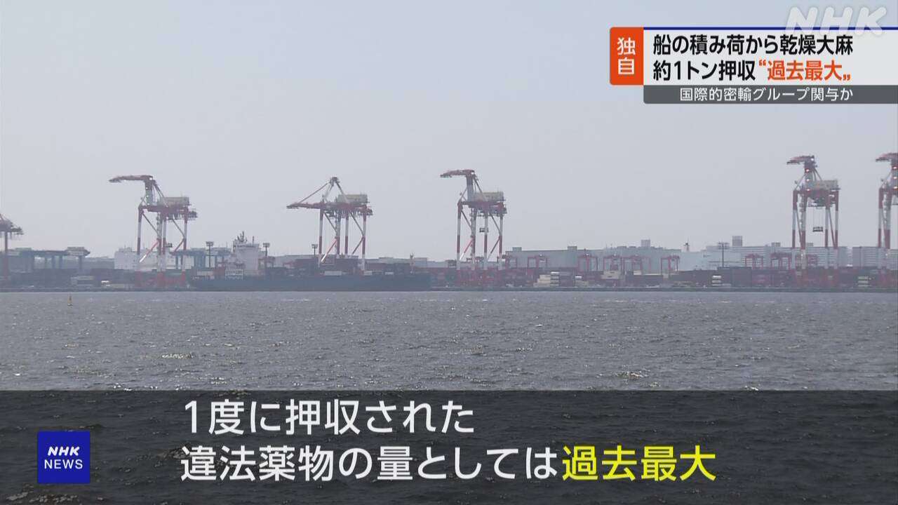ベトナム出港の船 コンテナから大麻1トン 過去最大量を押収 | NHK | 事件