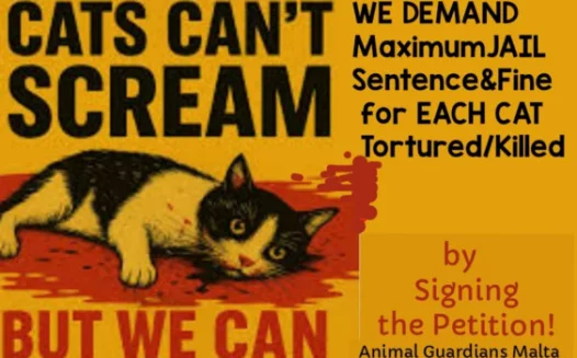 Petition Maximum JAIL  sentence to Okamura Satoshi for EACH cat he Tortured / Killed 