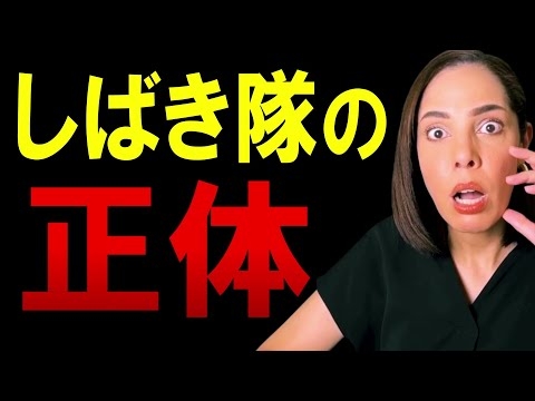 【衝撃】しばき隊の正体が分かりました、裏には●●党もいます。