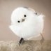 癒しのお届け便 ?【動物】 on X