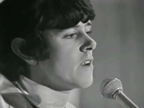 NEW * Sunshine Superman - Donovan {Stereo} 1966