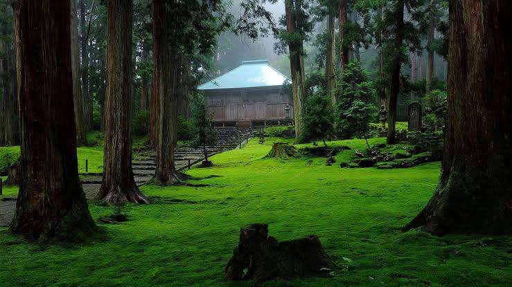 「手が下半身に…」曹洞宗大本山永平寺の修行僧が合宿中の女子高生20人にワイセツ・性加害…寺側は「真に恥ずかしく申し訳ない」