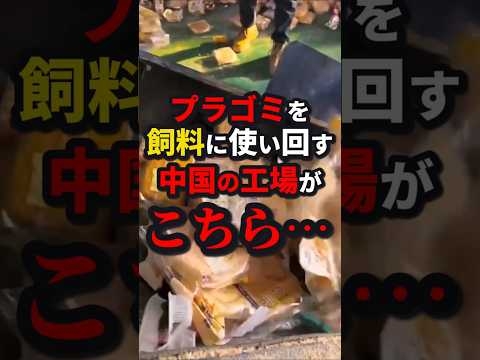 プラゴミを飼料に使い回す中国の工場がヤバすぎる #shorts #中国