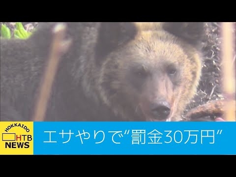ヒグマと人の危険な距離　野生動物にエサやりで罰金３０万円へ…知床・世界自然遺産の実態とは