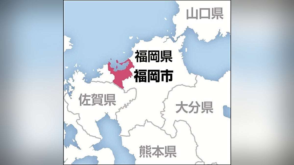 食物アレルギーで給食を全く食べられない児童・生徒、給食費相当額を給付へ…「不登校は対象外」疑問の声も：地域ニュース : 読売新聞