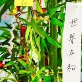 緊急事態条項が可決して日本から人権が無くなるのを防げますように‼︎日本人の基本... | ガールズちゃんねる - Girls Channel -