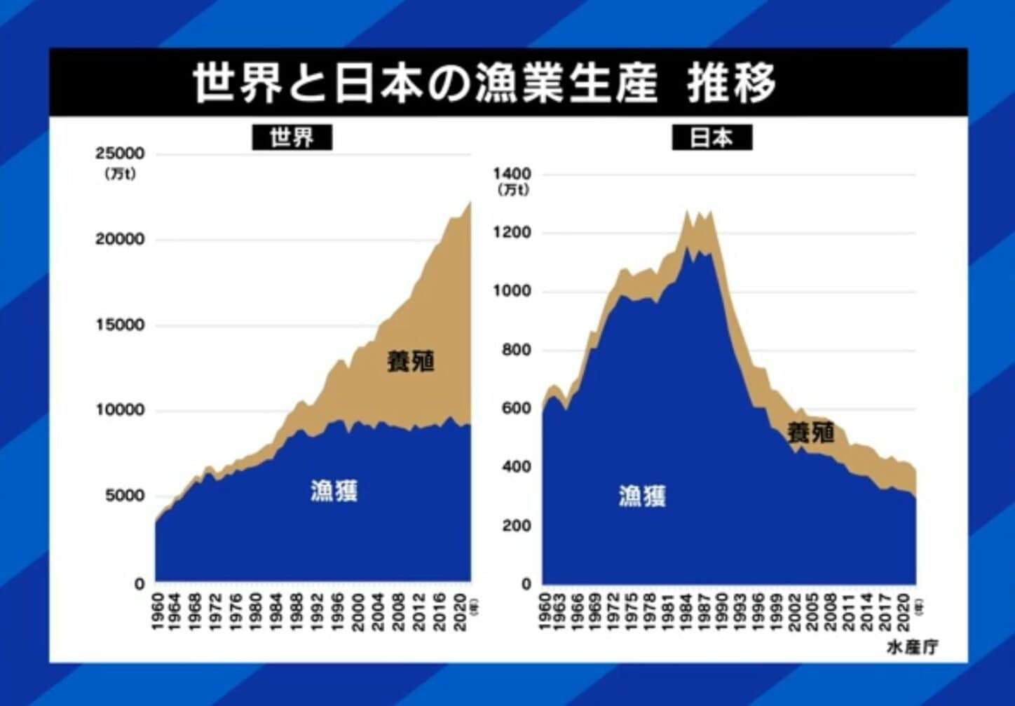 25年後、日本に魚がいなくなる？国内漁業の危機的状況に専門家が警鐘「資源管理ができてない」「補助金で休んでもらった方が漁業は復活する」40年間で漁獲量は1/3に激減