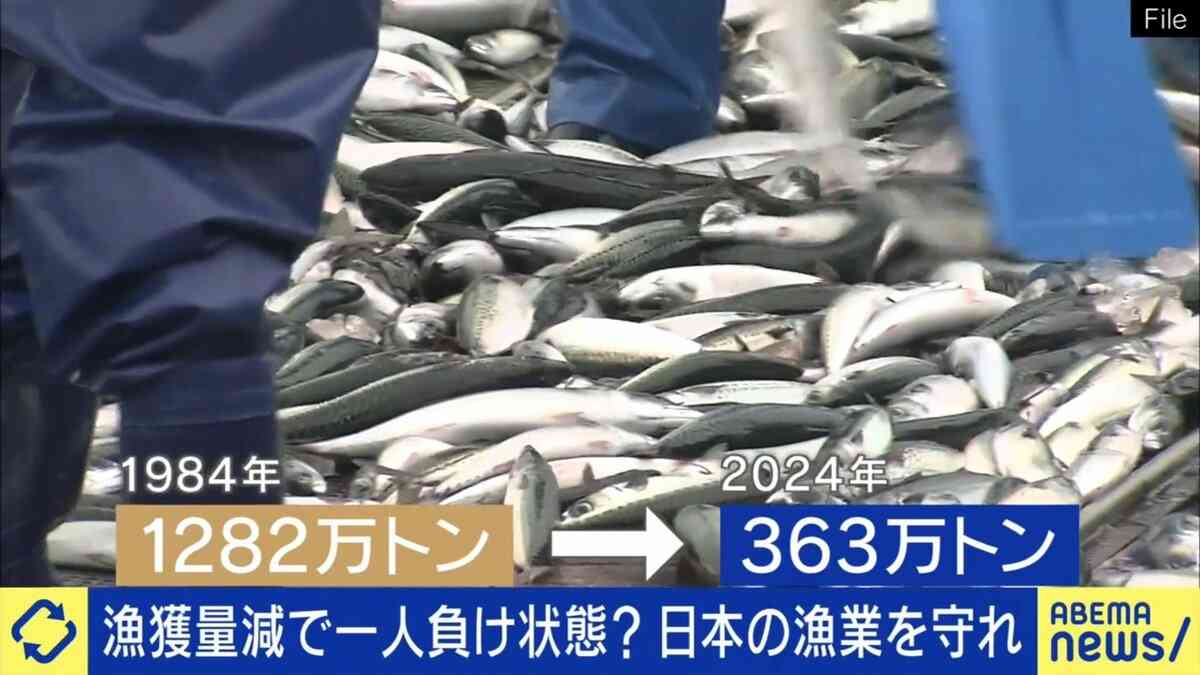 25年後、日本に魚がいなくなる？国内漁業の危機的状況に専門家が警鐘「資源管理ができてない」「補助金で休んでもらった方が漁業は復活する」40年間で漁獲量は1/3に激減 | 国内 | ABEMA TIMES | アベマタイムズ