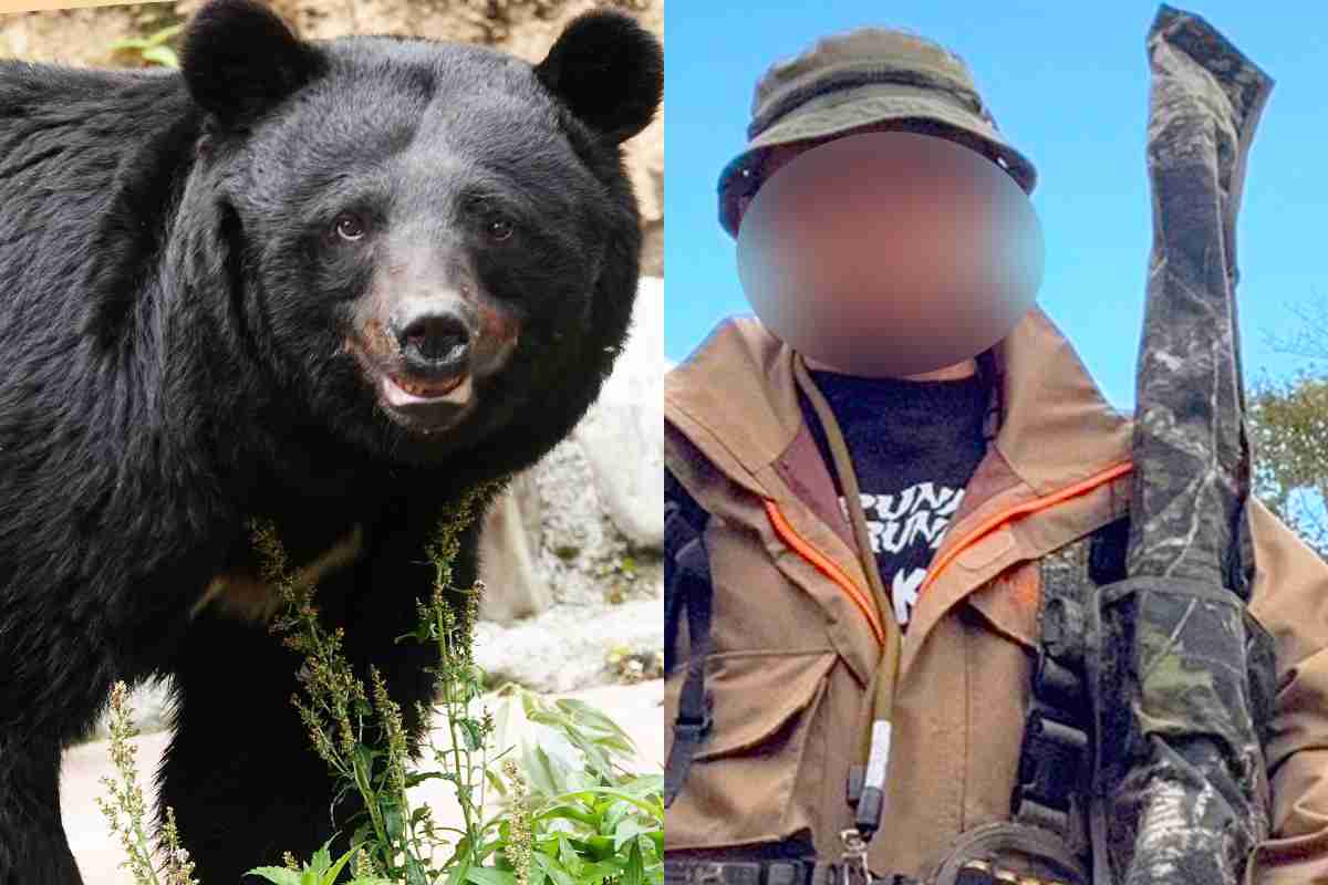 「奴らは6発撃っても死なない」「猟犬もビクビクと震え上がった」クレームを入れる人が知らない“北海道のヒグマの恐ろしさ”《対峙したハンターが語る熊恐怖体験》｜NEWSポストセブン