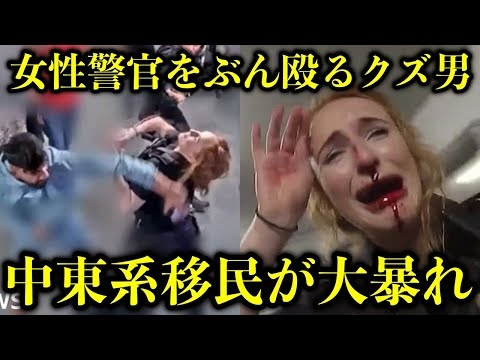 ゴミは射○しろ！【日本もこうなる】不良外国人、移民が調子ぶっこいて我が物顔でやりたい放題で被害者面