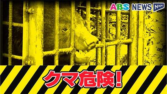 “クマ”に襲われ男性大けが　ブドウの食害が気になり夜に見回り…　秋田・大館市（ABS秋田放送） - Yahoo!ニュース