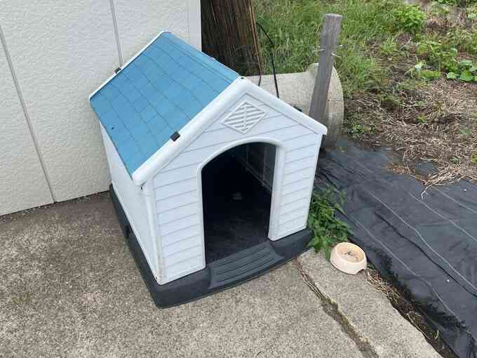 【住宅でクマ被害】飼い犬の鳴き声で窓開けたら…カーテン引き裂かれ、犬は死ぬ　福島・喜多方市