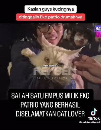 「自分の猫も守れない人間に国民が守れるか」――インドネシア反政府暴動のなか猫を「見捨てた」政治家に思わぬ逆風