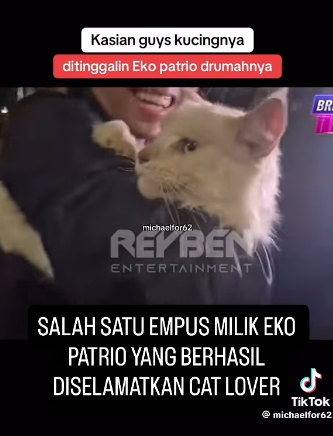 「自分の猫も守れない人間に国民が守れるか」――インドネシア反政府暴動のなか猫を「見捨てた」政治家に思わぬ逆風