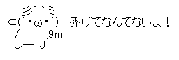 「薄毛治療費補助」「無断欠勤義務」「退職代行費会社持ち」“第三の賃上げ”人材難で過熱する『福利厚生』