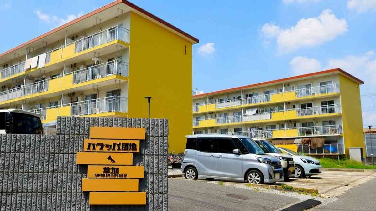 すごい団地！｢保育園､ドッグラン､畑を完備｣｢子育て中に