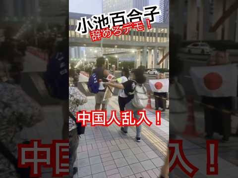 【小池百合子辞めろデモ #shorts 】中国人がデモに乱入！ブチギレ！妨害された！ #小池百合子 #カイロ大学 #妨害 #ブチギレ #いいね歓迎 #チャンネル登録お願いします