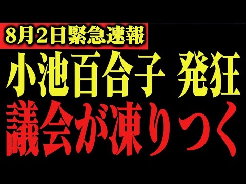 ※東京都の闇が深すぎました…。小池百合子