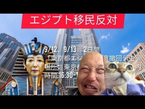 【第182回笑って?☀️SPLIVE  】エジプト??移民反対デモを視察?小池百合子をタヌキの里に返そう✊@都庁の巻