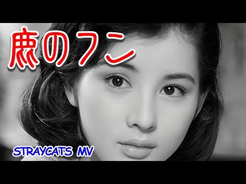 [MV] 鹿のフン