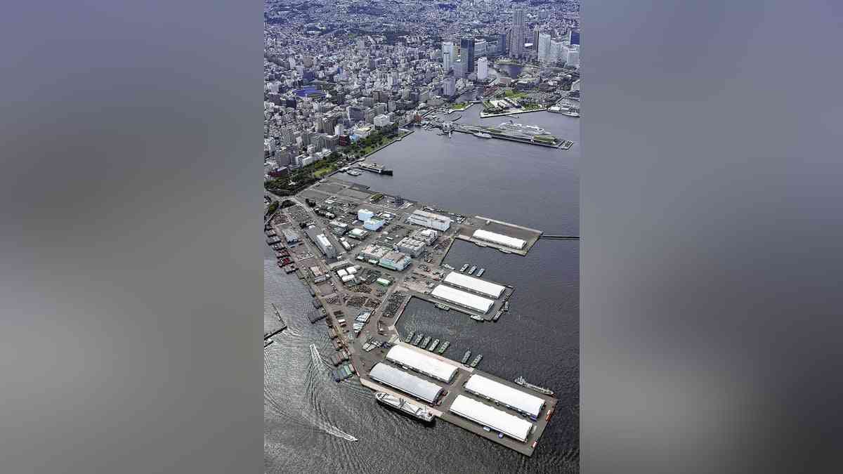 横浜市：山下ふ頭で初の１０万人規模ライブ、しかし…苦情３００件で調査の市職員も「不快な音だった」 : 読売新聞