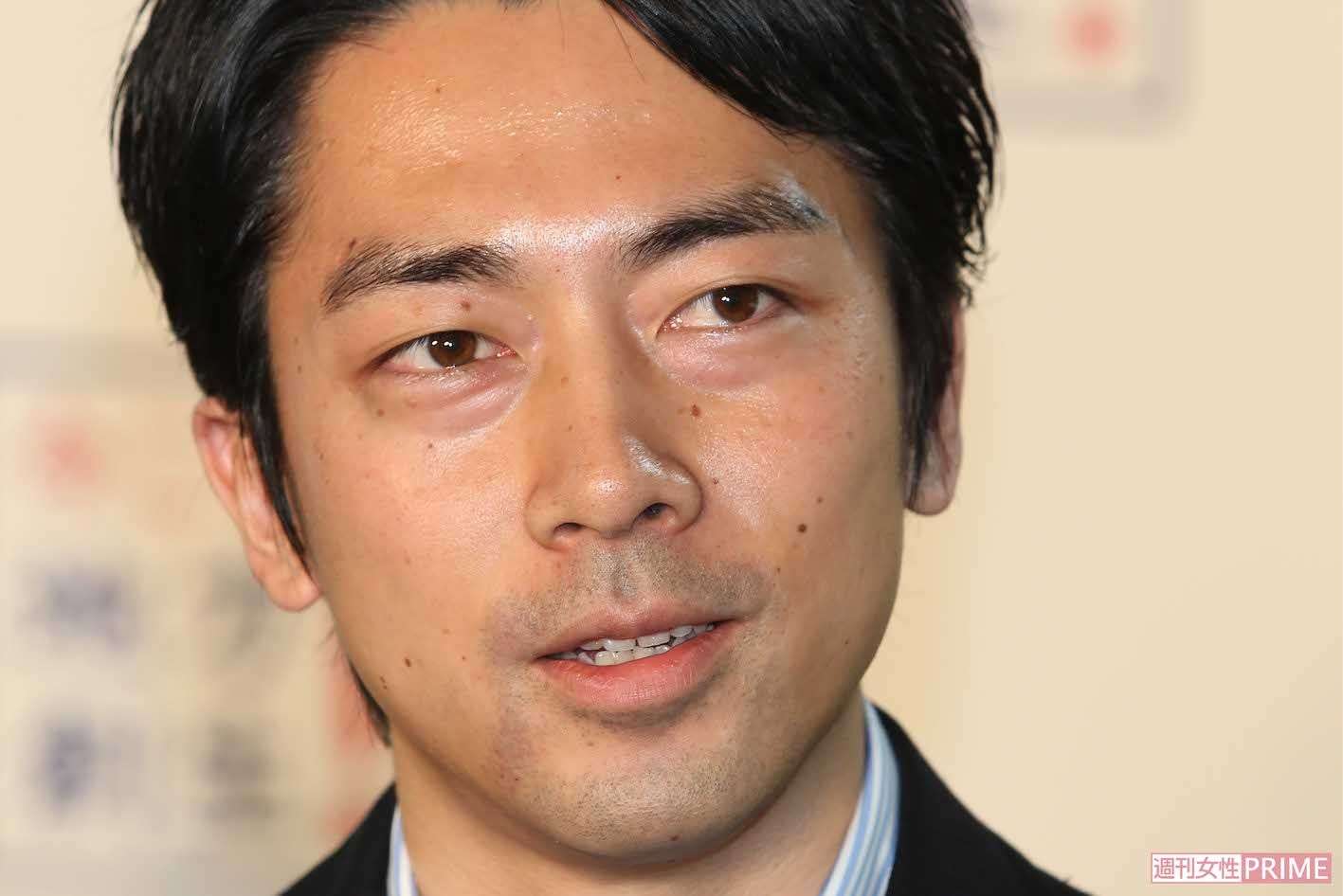 父・小泉純一郎の郵政民営化に続いて小泉進次郎に「壊されるかも」農業関係者が吐露した不安と“農協民営化”の可能性 | 週刊女性PRIME