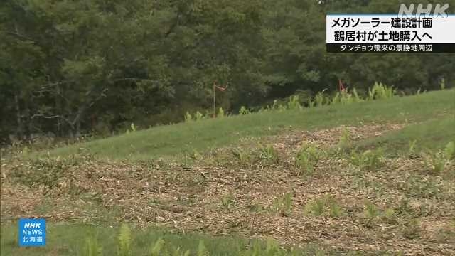 タンチョウ景勝地周辺でメガソーラー計画 鶴居村が土地購入へ｜NHK 北海道のニュース