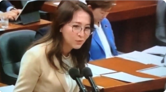(‘A`) アルフィヤ議員「外国人の両親が日本でキャリアを積めて、娘は国会議員にまでなってしまいました。そのような環境が日本にある事をもっと海外に発信していくべき」 ｜ もえるあじあ(･∀･)