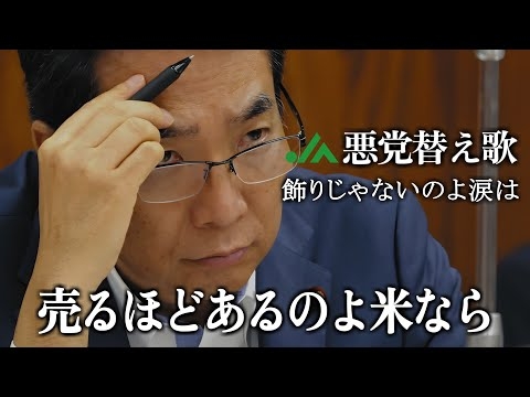 【替え歌】飾りじゃないのよ涙は - 中森明菜　政治のうた 自民党あるある 財務省解体デモ応援！