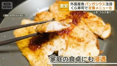 外国産魚「パンガシウス」注目　くら寿司で定番化　ナマズの一種、激安で人気