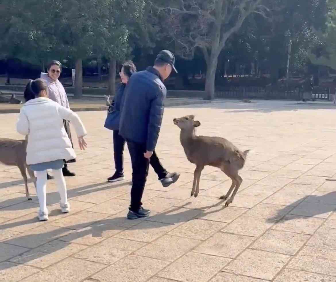 へずまりゅうが投稿した「中国人がシカを蹴った」動画、パクリだった　元投稿主は加害者が日本人と記載