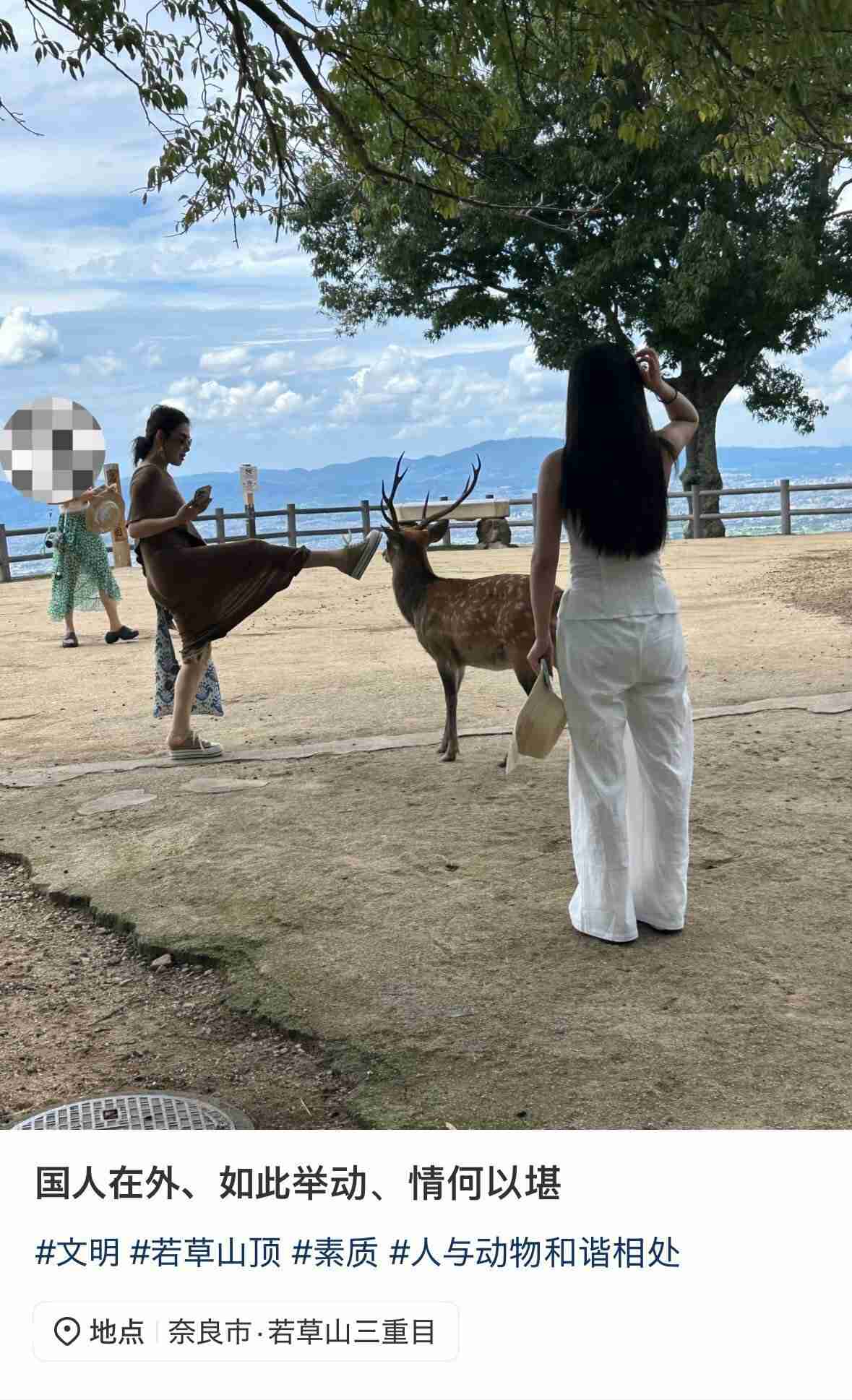 へずまりゅうが投稿した「中国人がシカを蹴った」動画、パクリだった　元投稿主は加害者が日本人と記載