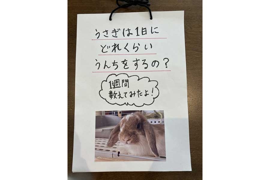 夏休みの自由研究、教師の“黙殺”対応に保護者怒り　「評価できないなら必須にしないで」ネットも共感