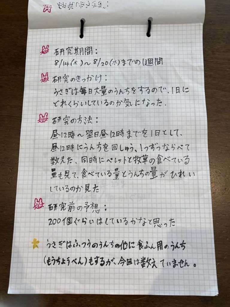 夏休みの自由研究、教師の“黙殺”対応に保護者怒り　「評価できないなら必須にしないで」ネットも共感