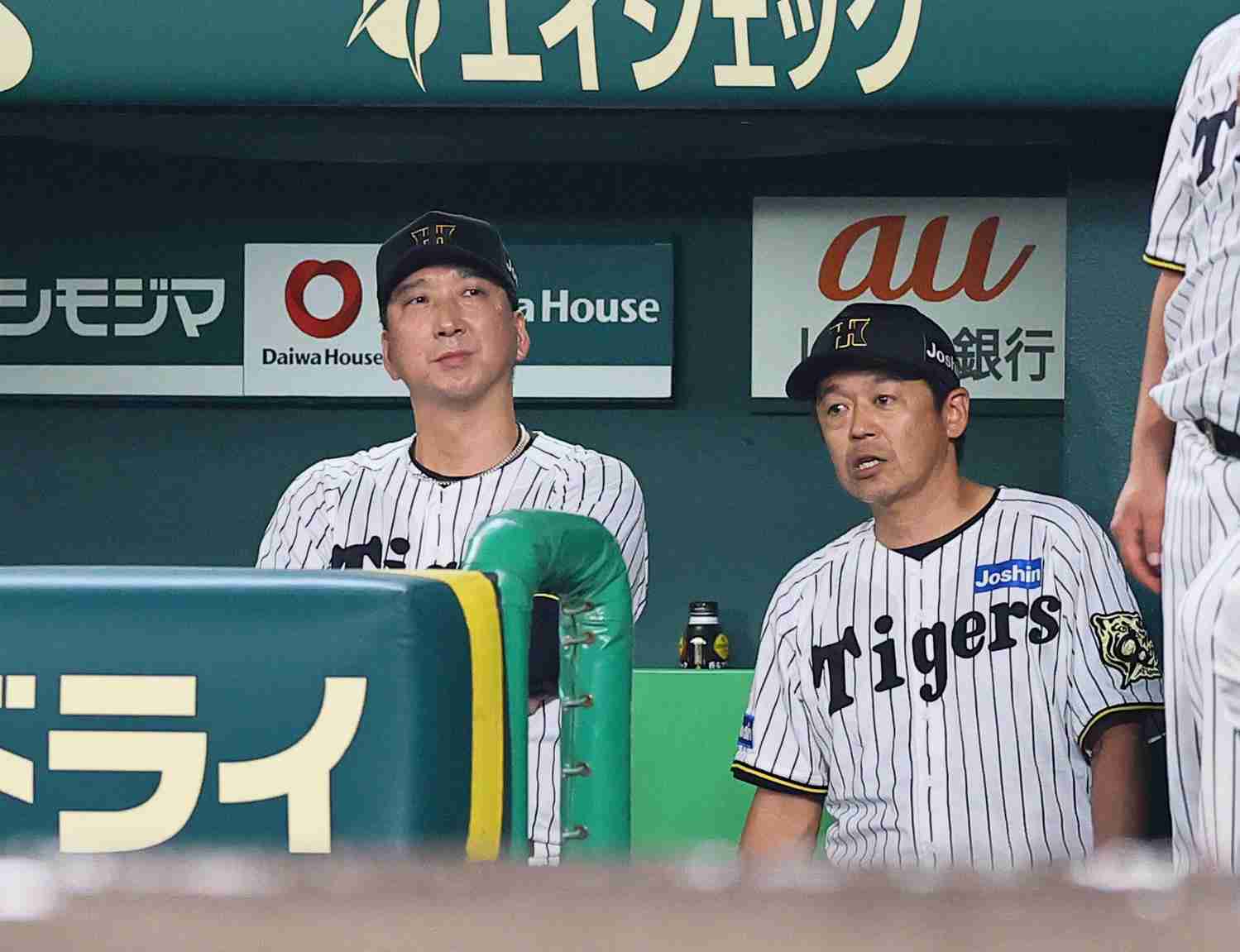 【阪神】「お子ちゃまレベル」「ひよっこ」藤川監督がテレビインタビューで珍しく厳しい言葉（日刊スポーツ） - Yahoo!ニュース