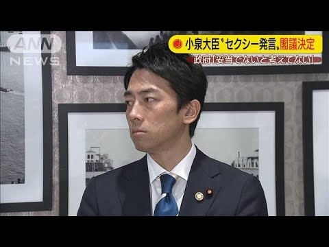 小泉大臣「セクシー」発言　政府が答弁書を閣議決定(19/10/15)