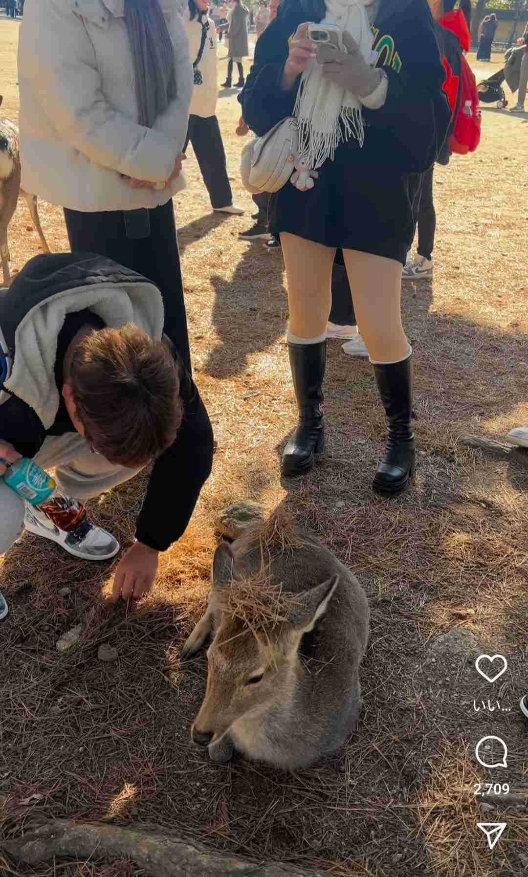 へずまりゅうが投稿した「中国人がシカを蹴った」動画、パクリだった　元投稿主は加害者が日本人と記載