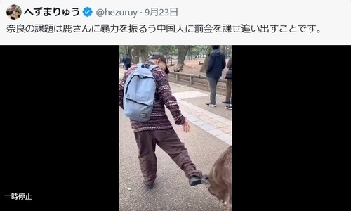 へずまりゅう「これが中国人が鹿蹴った証拠の動画だ」→台湾人が「鹿を蹴る日本の老人」として投稿した動画の転載でした : なんJ政治ネタまとめ