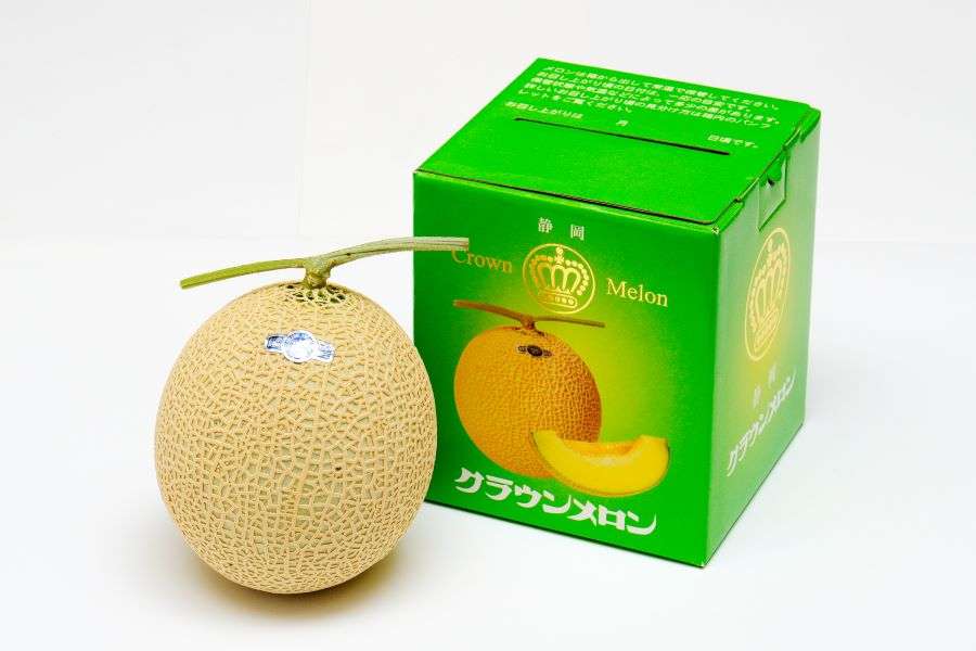 ”メロンの王様”がピンチ？　半世紀あまりで生産者は4分の1にまで減少　それでも新規就農者が少ないワケ　多額の初期投資がネックに