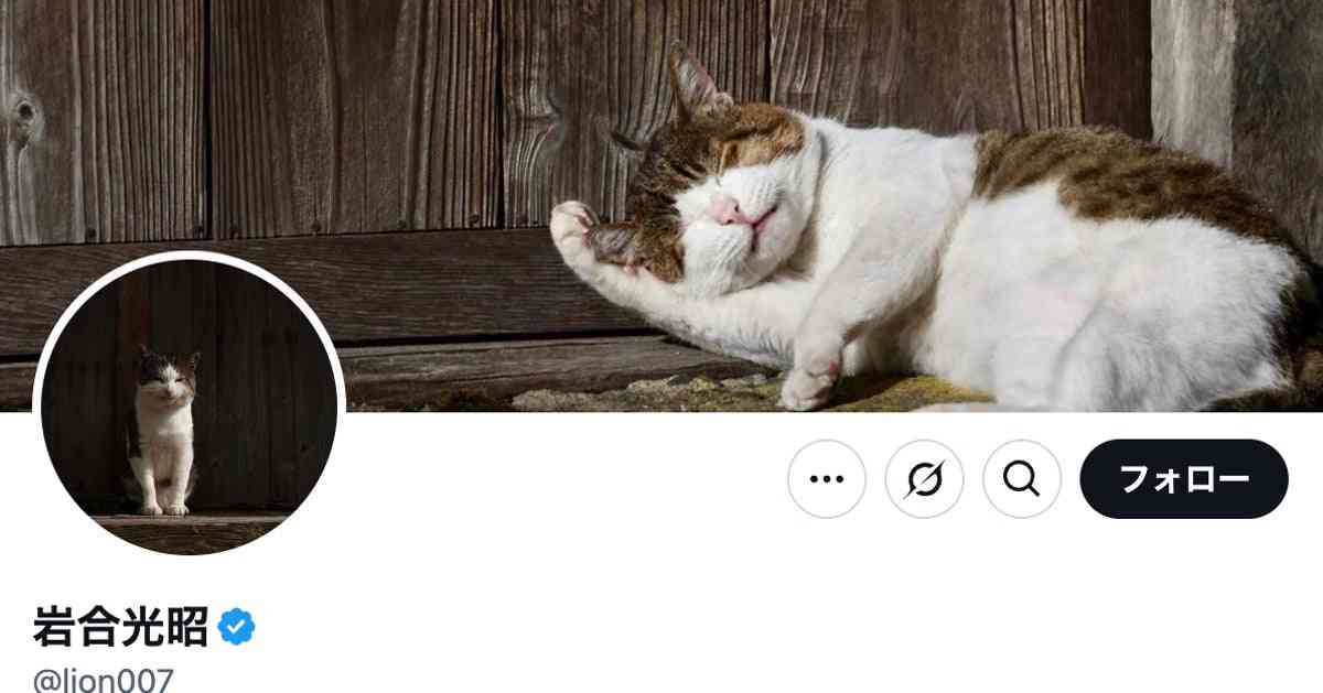 写真家・岩合光昭、階段の踊り場でくつろぐ愛猫の姿を公開⇨⇒「うちも同じ！」と共感の声続々 | ハフポスト アートとカルチャー