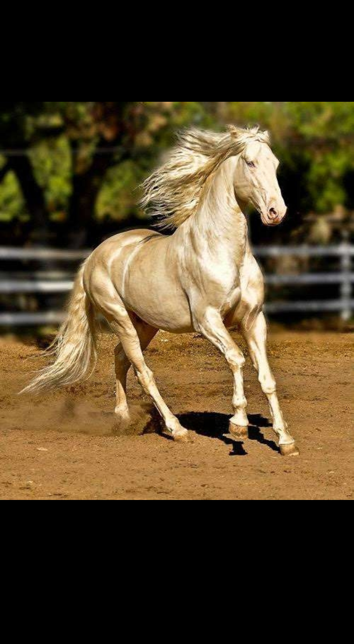 【朗報】を報告するトピpart6