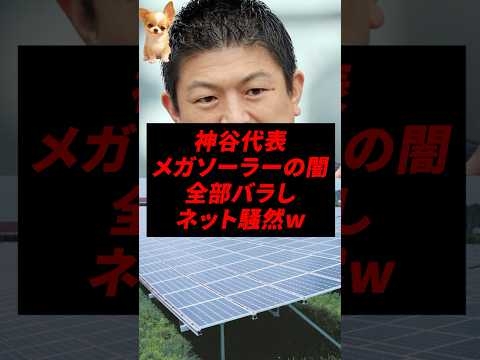 ㊗️30万再生！神谷代表、メガソーラーの闇全部バラしネット騒然w