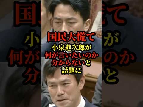 小泉進次郎が政策活動費の公開方法工夫支出について質問されるも回答が長すぎて何が言いたいのか分からないと話題に#国会 #政治 #自民党