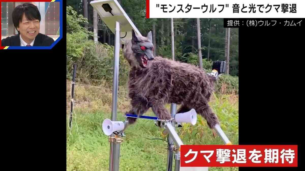 「クマに一番効果がある」怖すぎる… “モンスターウルフ”がヒグマを追い払う瞬間 音と光で野生動物を撃退 | 国内 | ABEMA TIMES | アベマタイムズ