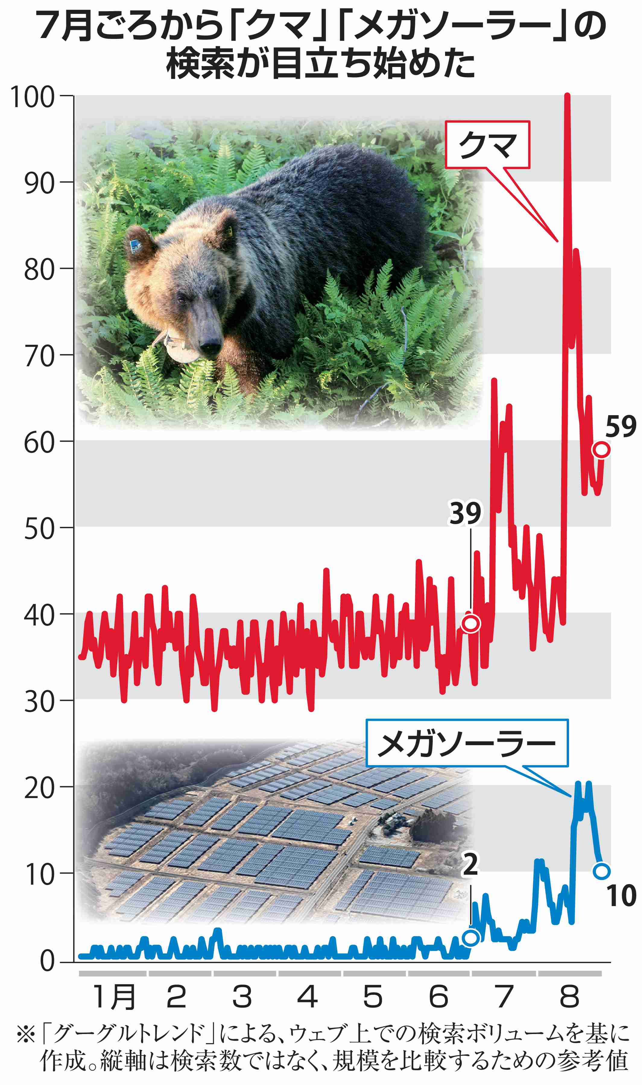 クマの市街地出没、SNSに目立つメガソーラー原因説「すみか奪ってる」「クマ被害増加」