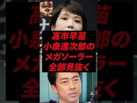 高市早苗、小泉進次郎のメガソーラー全部見抜く