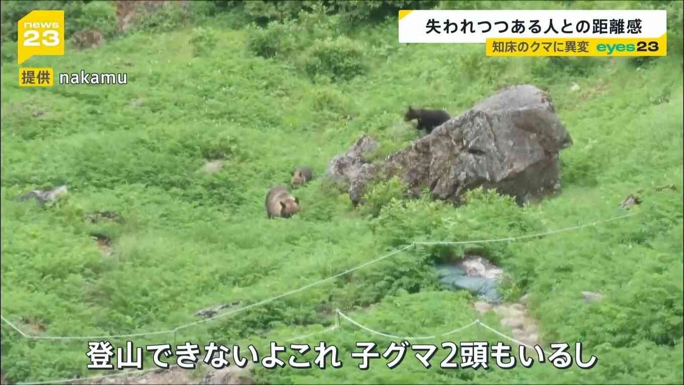 変わったのはクマか人か…「ヒグマの人慣れ」“共生最前線”知床で深刻化 “エサやり”・“クマ待ち”　問われる人間のモラル　8月には世界遺産登録後初の死亡事故も【news23】