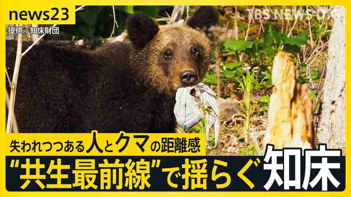 変わったのはクマか人か…「ヒグマの人慣れ」“共生最前線”知床で深刻化 “エサやり”・“クマ待ち”　問われる人間のモラル　8月には世界遺産登録後初の死亡事故も【news23】 | TBS NEWS DIG (1ページ)