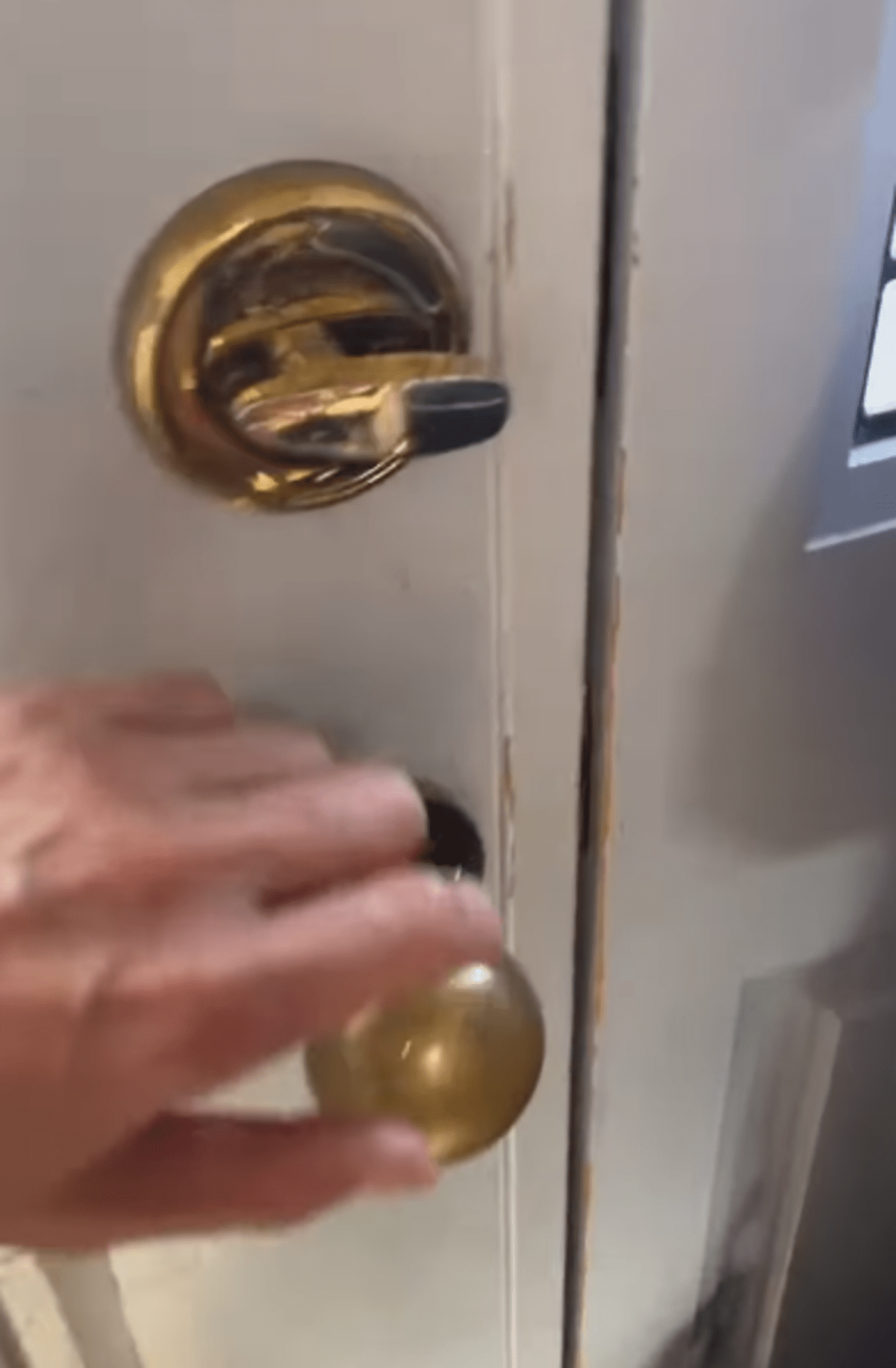 買い物に行くため玄関を開けると　→予想外の“来客”に「本当にこんな事あるの」「神様降臨」「動く気配すらない（笑）」 – ほ・とせなNEWS