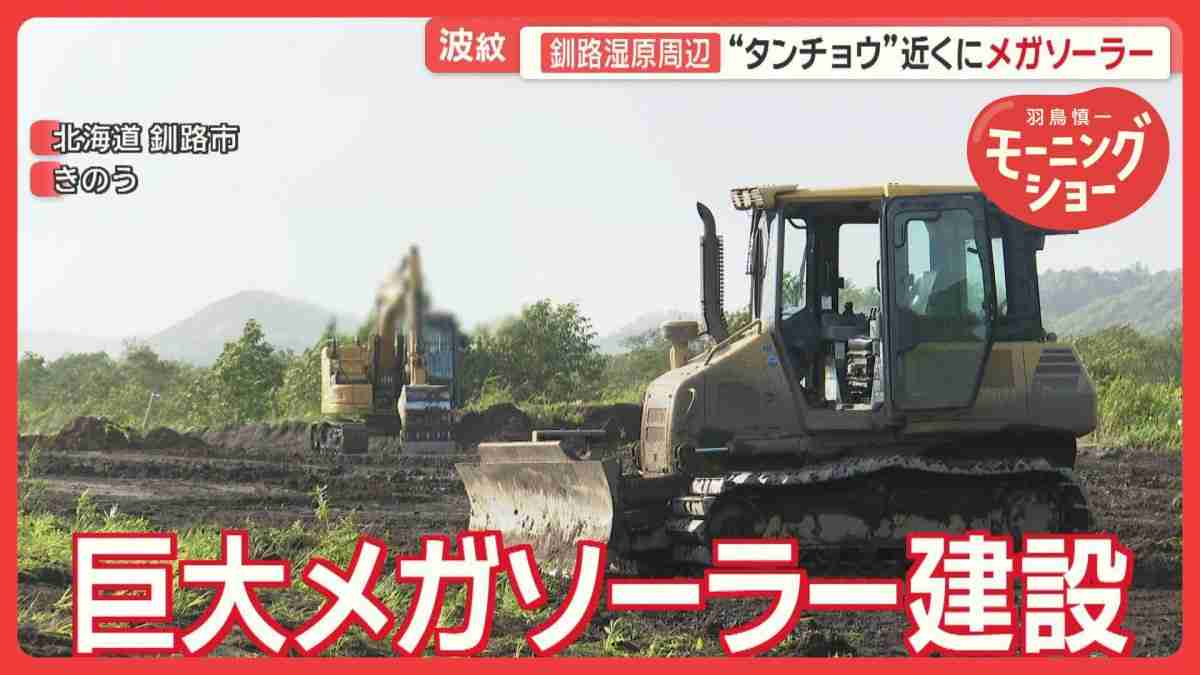 特別天然記念物の生息地周辺に“巨大メガソーラー”　事業者側と行政側で話の食い違い
